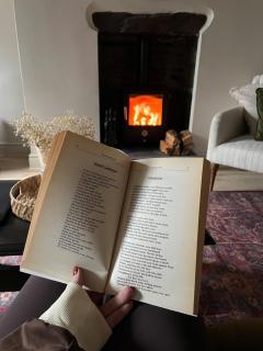 Poets Cottage Eglwys Fach - 8