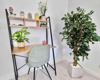 Sector3 Modern plus Large Terrace 25min Old Town - 1