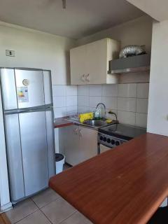 Dpto Vista hermosa Parq O'Higgins y Movistar Arena - 7