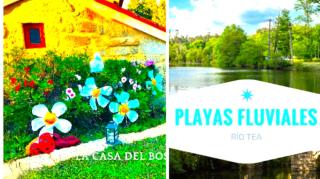 La Casa del Bosque del Agua y SPA Prexigueiro Obsequio entrada por persona a circuito termal - 0