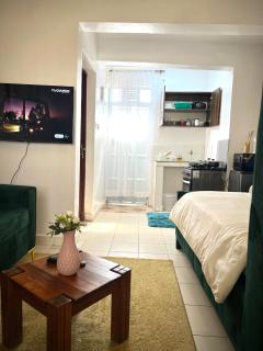 Comfy studio Milimani - 4