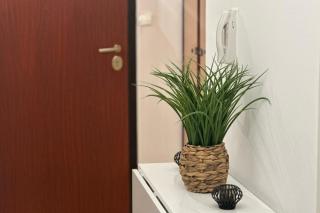 Cosy T2 vue mer climatisé wifi et tout équipé refait à neuf - 2