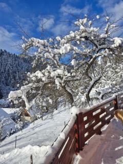 Pensiunea Cabana Viselor ,Apuseni - 1
