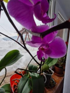 Pensiunea Cabana Viselor ,Apuseni - 2