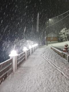 Pensiunea Cabana Viselor ,Apuseni - 4