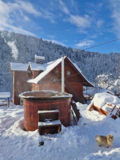 Pensiunea Cabana Viselor ,Apuseni - 5