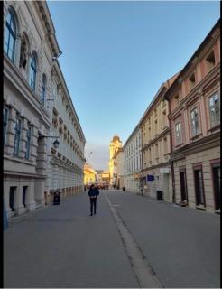 Unirii Square Apartament - 1