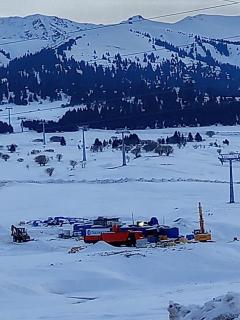 Guest house grizzly - 8