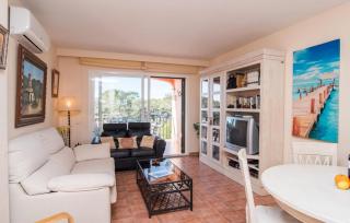 The Torrent's Observer - 5