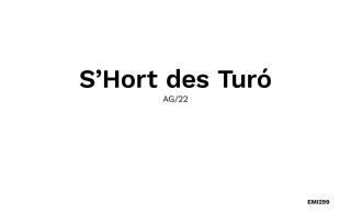 Es Turo Formentera - 6