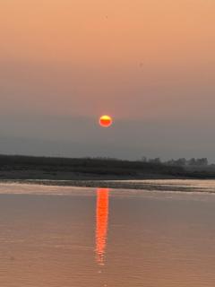 Hotel Sauraha Village - 5