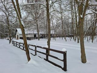 TücsökTanya Vendégház - 9