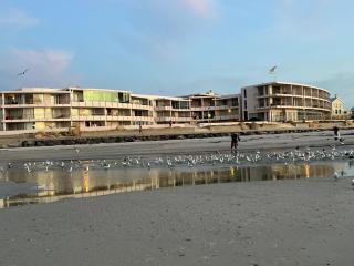 Beachfront bliss - 9