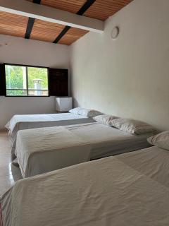 hotel bocas del cauca - 6