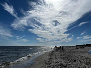 Gårdshus med jacuzzi på Österlen - Hammenhög - 7