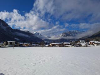 Bichler's Alpennest - 9