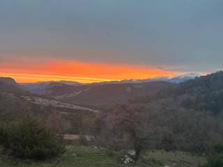 Tiny House en bois - 7