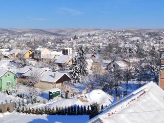 Garden 022 - Vrdnik - 5