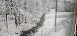 Bergwiesnblick Apartments - 7