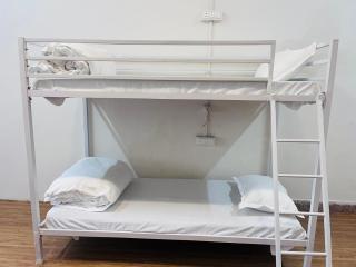 The grey stay - hostel and hotel - Benares - 7