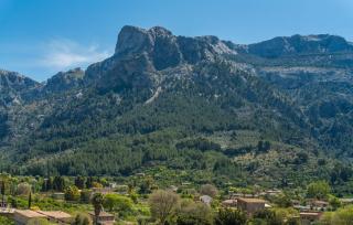 Arbona Soller - 8