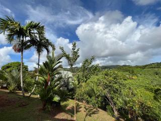 Le petit Nénuphar - 7