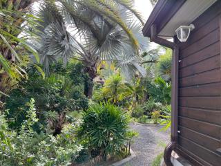 Le petit Nénuphar - 6