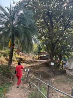 Uddibaba camp rishikesh - 1