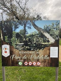 MORIANI Plage G1 - 3