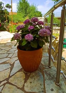 The Cottage in Eva - 4