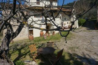 Agriturismo Podere Palazzuolo - Pontassieve - 3