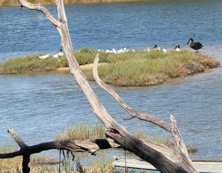 HAVEN by the Sea - 3