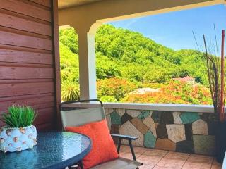 Tropical superbe views - 9