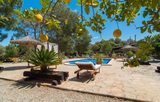 Son Mulet De Llubi - 5