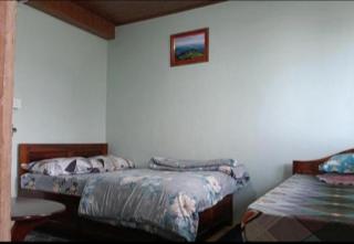 Grace Homestay - 1