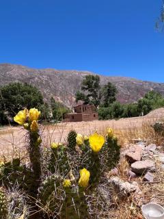 Casa La Rústica Maimara - 6