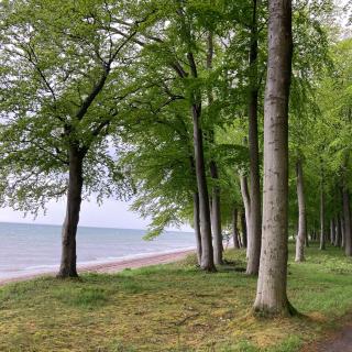 Sommerliv Bed and Breakfast - 4