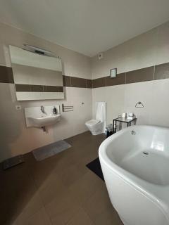 Big Flat - Direct CERN - 3