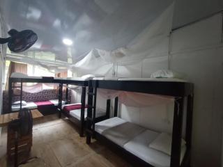 Hostal Las Mariposas Minca - Minca - 9