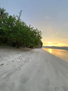 Raja Ampat Ayem Homestay - 7