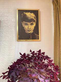 Old Tbilisi Echo - 5