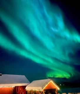 Aurora beach house - 9