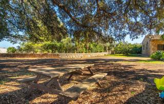 Sa Figuera Blanca - 4