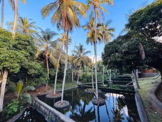 Riverfront Villa 69 - 3