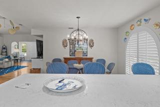 Kittiwake - 1