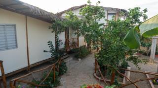 Gato Bungalows Hotel - 5