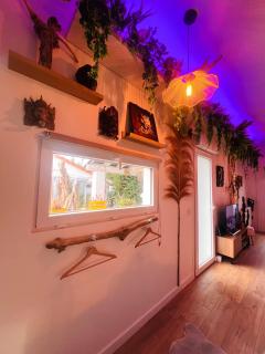 Évasion Tropicale - Studio Artiste Bali & Jacuzzi "Pour le studio avec baignoire SPA" - 1