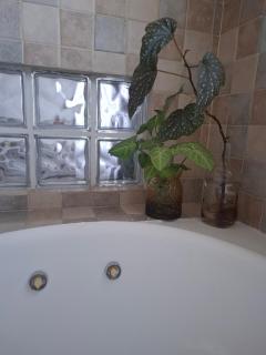 Monoambiente luminoso con Jacuzzi Relax y estilo - 7