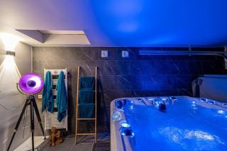 Gîte Bel'Air avec Spa de nage extérieur - 3