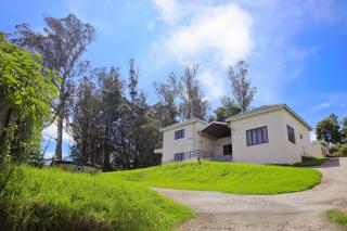 Whispering Pines - 0